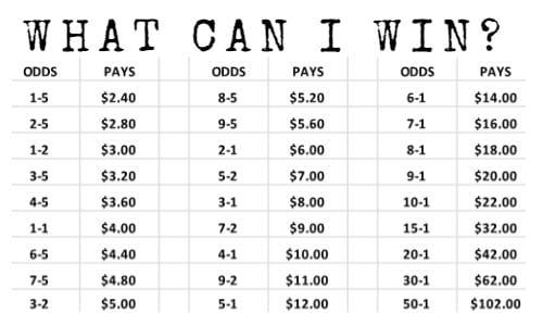 Understanding soccer betting payouts