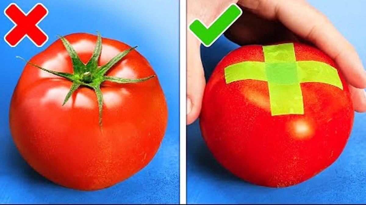 دنیای جذاب ترفندها و تأثیر آنها بر زندگی روزمره